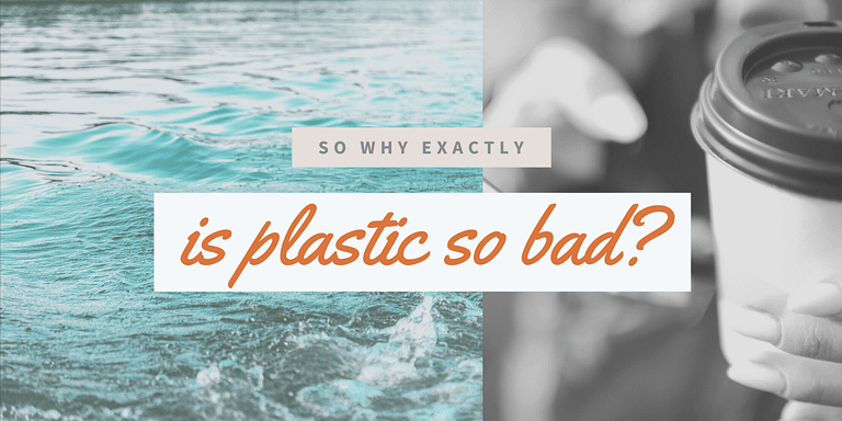 Read more about the article Four evil truths about plastic